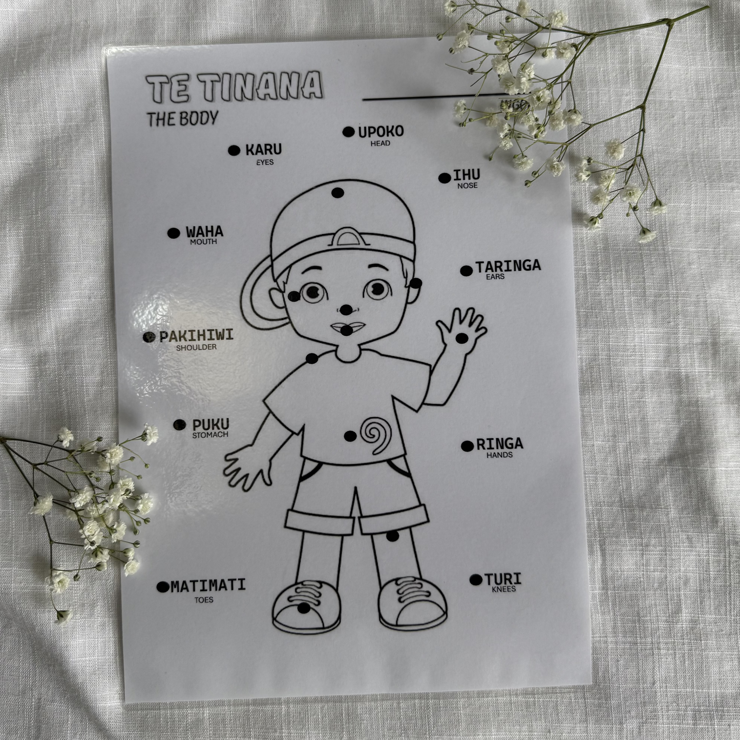 Learning Charts