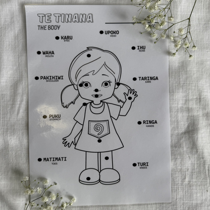 Learning Charts